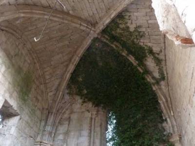 Monasterio de Bonaval - Cañón del Jarama - Senderismo Guadalajara; senderismo valencia rutas